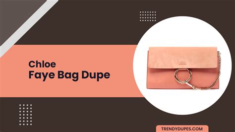 Chloe Faye Bag Dupes Worth Checking Out! 